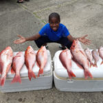 Elijah and snappers